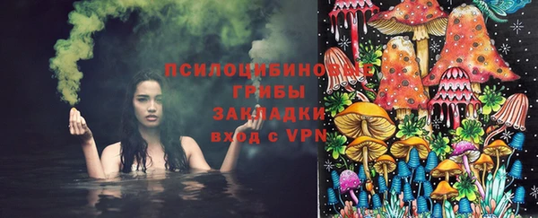 прущая мука Рославль