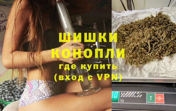 дживик Заводоуковск