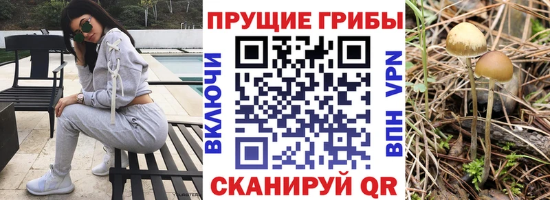 Галлюциногенные грибы мицелий  Нарткала 